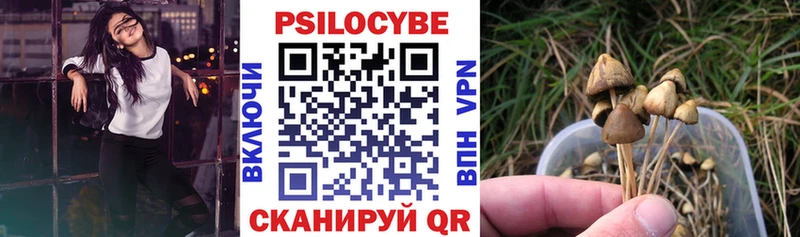 Галлюциногенные грибы Psilocybine cubensis  Гай 