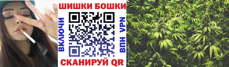 как найти наркотики Гай МАРИХУАНА планчик